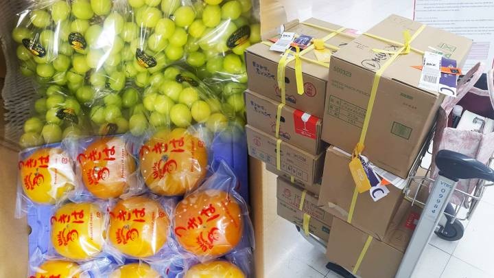 Một số người Thái đi du lịch nước ngoài, đặc biệt là đến Nhật Bản và Hàn Quốc, đã mang trái cây tươi như nho, hồng về nước mà không có giấy chứng nhận không bị sâu bệnh hại cây trồng và giấy phép nhập khẩu.