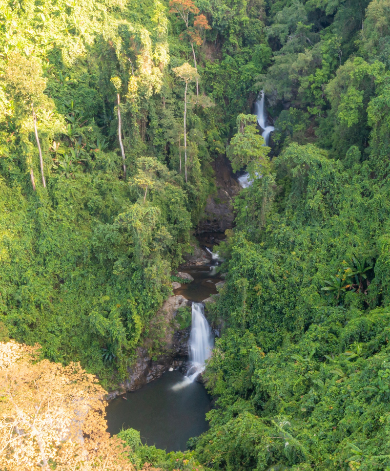 Hệ thống thác nước tạo nên những dòng chảy trong rừng tự nhiên