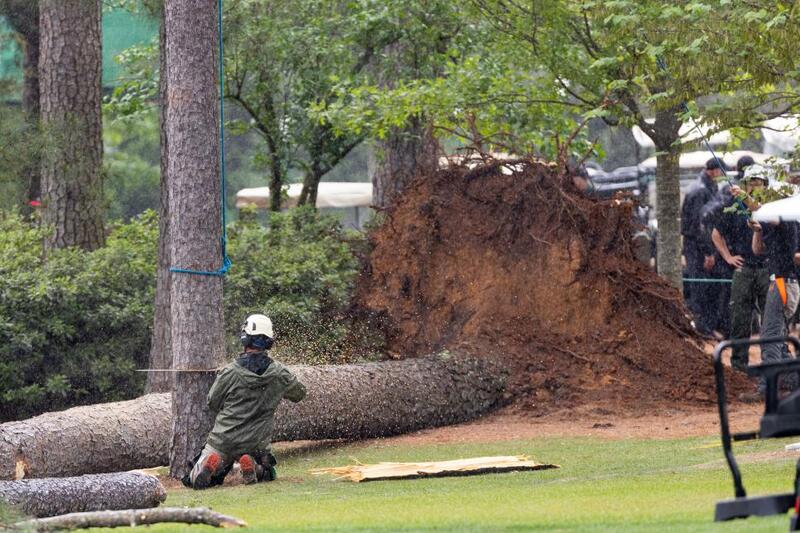 Một công nhân cưa dọn cây ngã đổ