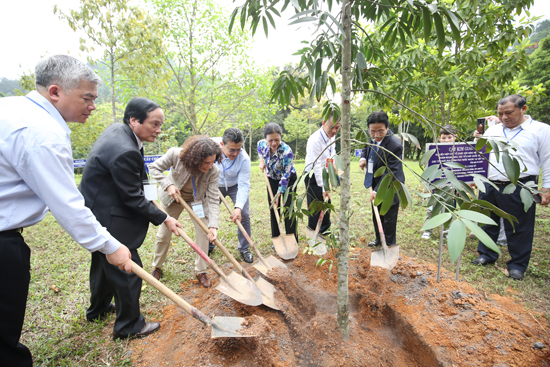 Các đại biểu trồng cây tại khu di tích Đền Hùng