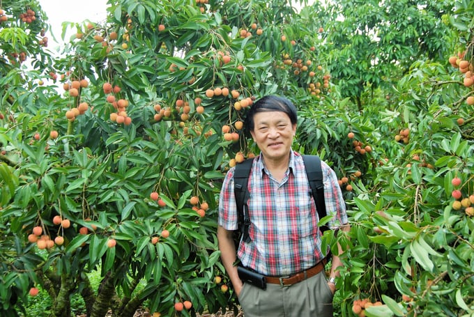 Tham quan vùng trồng vải thiểu ở huyện Lục Ngạn, Bắc Giang, nhân dịp HNGB năm 2017