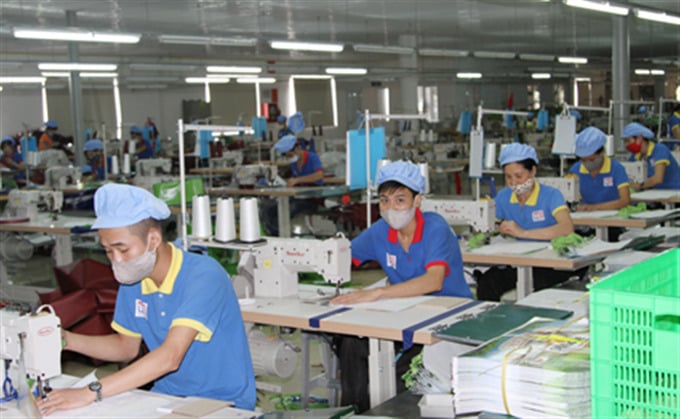 TDP hiện quản lý vận hành 03 Nhà máy sản xuất bao bì hạt nhựa tái chế