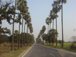 dương-Laurya-reraj