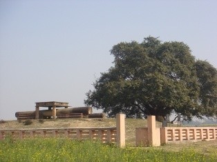 Tru-Rampuva