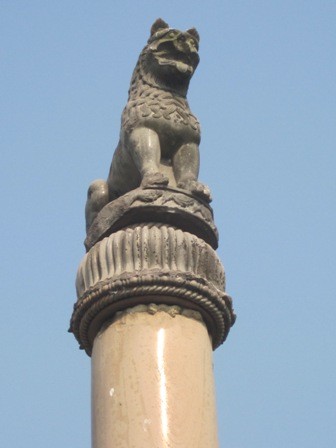sutu-đinh-Laurya