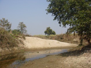 A-nô-ma-xưa
