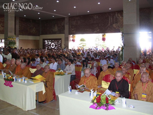 Hthao 5