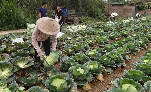 phat trien nganh nghe nong thon