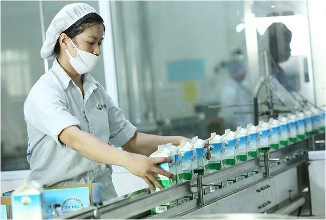 Nhà máy sữa của Mộc Châu có công suất ước đạt 250 tấn sữa/ngày (tương đương 150.000 hộp sản phẩm/giờ) với các sản phẩm chính như sữa tươi thanh trùng, sữa tươi tiệt trùng, sữa chua ăn, sữa chua uống…