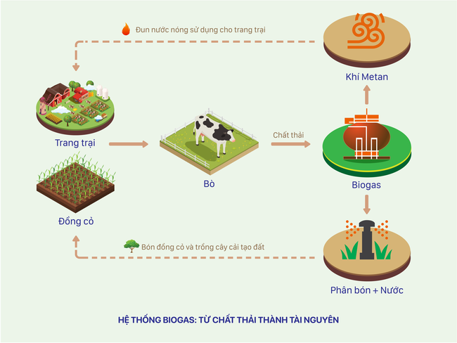 Sơ đồ về hệ thống Biogas tại các trang trại bò sữa Vinamilk, giúp biến chất thải thành tài nguyên.
