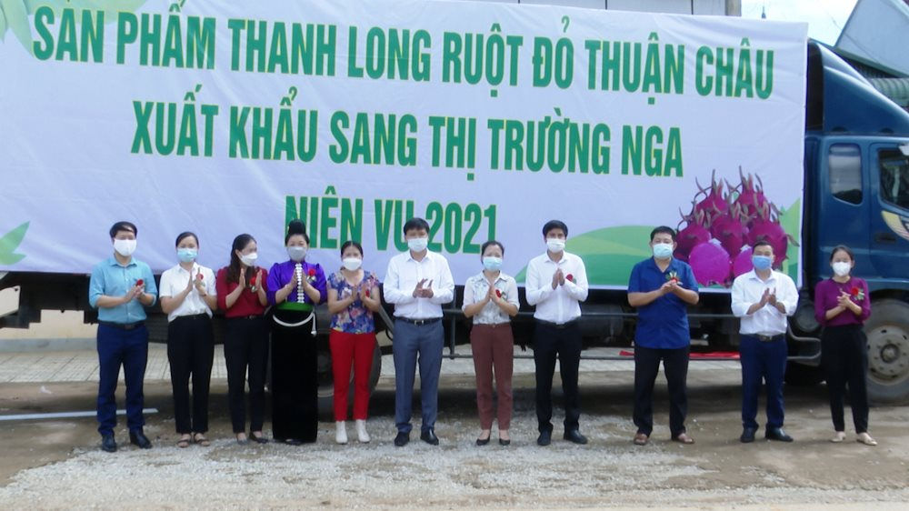 Lễ xuất khẩu 10 tấn thanh long ruột đỏ Thuận Châu sang thị trường Nga.