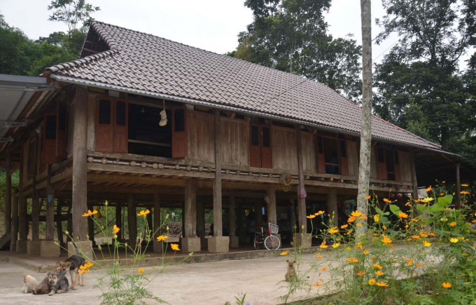 Vẻ đẹp độc đáo của những ngôi nhà sàn của người Mường ở Thanh Hóa
