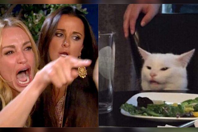 Thánh meme Chú mèo ăn salad3