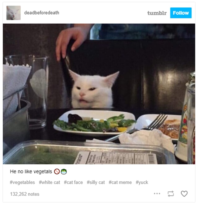 Thánh meme Chú mèo ăn salad4