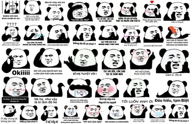 55 Ảnh Meme Gấu Trúc Weibo Bựa Troll Hài Hước Nhất Trường THPT Vĩnh Bảo