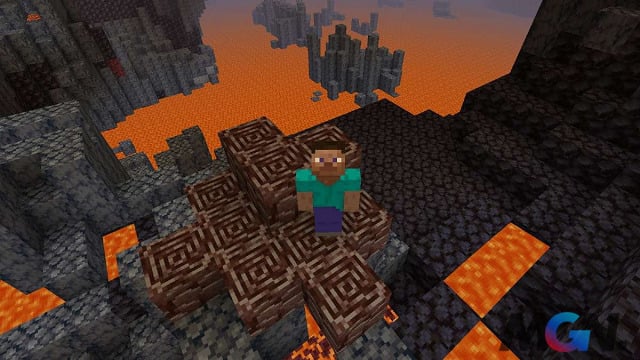 Mảnh Vỡ Cổ Đại là một trong những khối hiếm nhất Minecraft