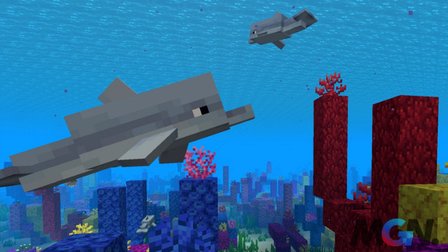 Minecraft Tìm hiểu hiệu ứng Dolphin's Grace và cách nhận nó-1