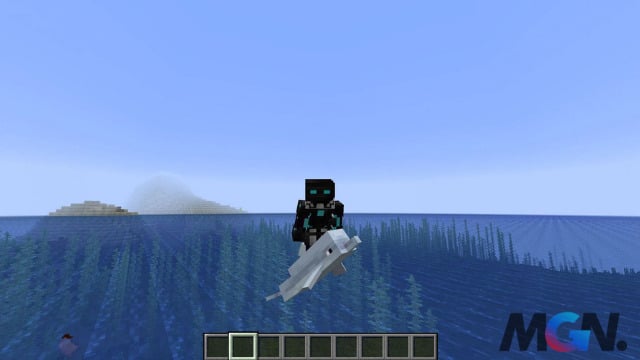 Minecraft Tìm hiểu hiệu ứng Dolphin's Grace và cách nhận nó-2