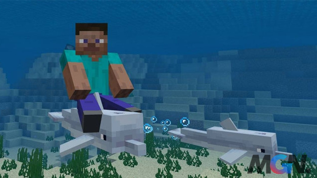 Minecraft Tìm hiểu hiệu ứng Dolphin's Grace và cách nhận nó-3