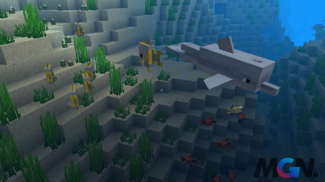 Minecraft Tìm hiểu hiệu ứng Dolphin's Grace và cách nhận nó-4