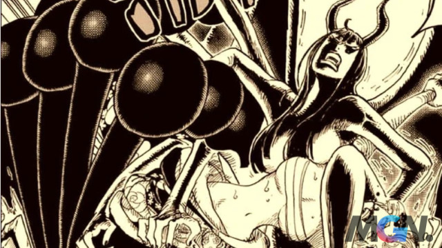 One Piece: Hóa ra băng Mũ Rơm có đến 5 người có thể hóa khổng lồ 3