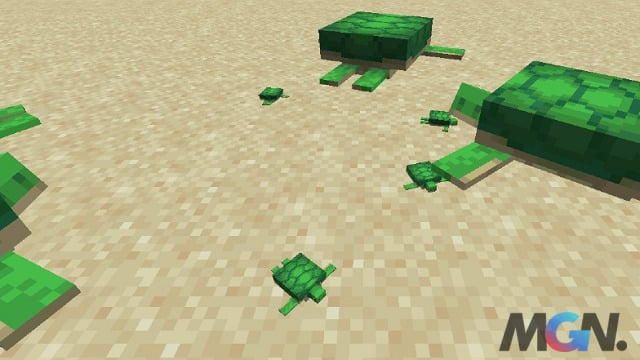 Minecraft Hướng dẫn nuôi Rùa cực kỳ chi tiết_3