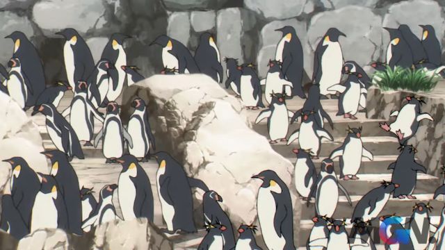Với trí nhớ siêu phàm, Loid đã thu hồi lại được chú chim cánh cụt mình cần