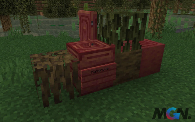 Gỗ rừng ngập mặn trong Minecraft