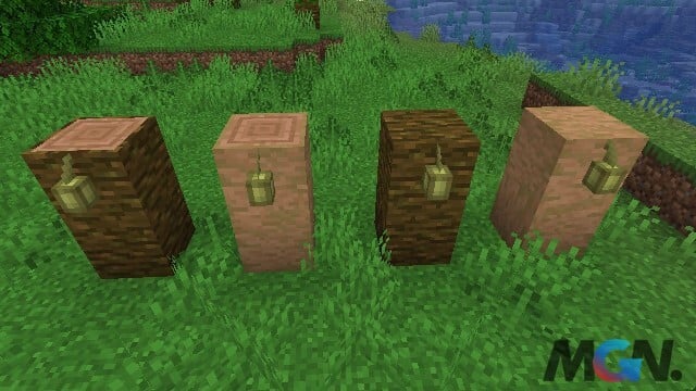 Minecraft Hạt ca cao chỉ có thể được trồng trên các loại gỗ rừng hoặc khúc gỗ khác nhau