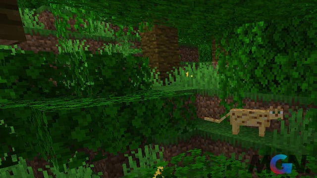 Người chơi Minecraft có thể thuần hóa mèo rừng trong biome Jungles