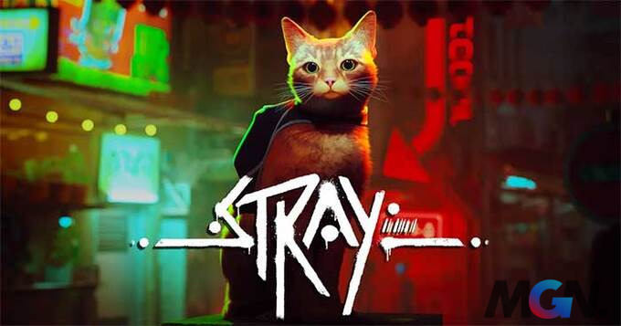 Stray là tựa game giả lập mèo mới nhất, hiện đang lọt top những trò chơi được yêu thích nhất trên Steam