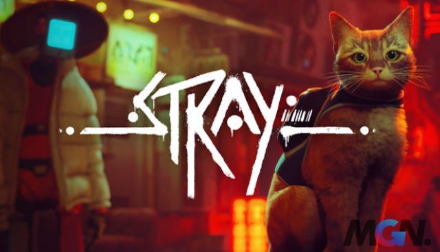 Tin tức mới nhất về Stray, game Stray, game mèo Stray