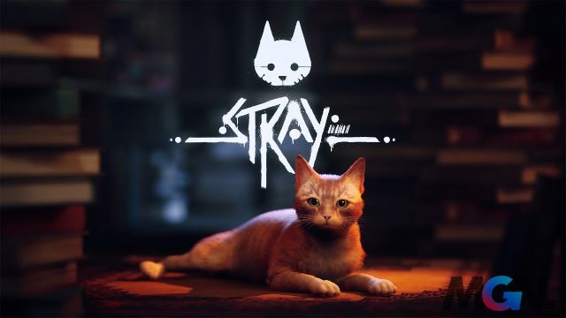 Tin tức mới nhất về Stray, game Stray, game mèo Stray