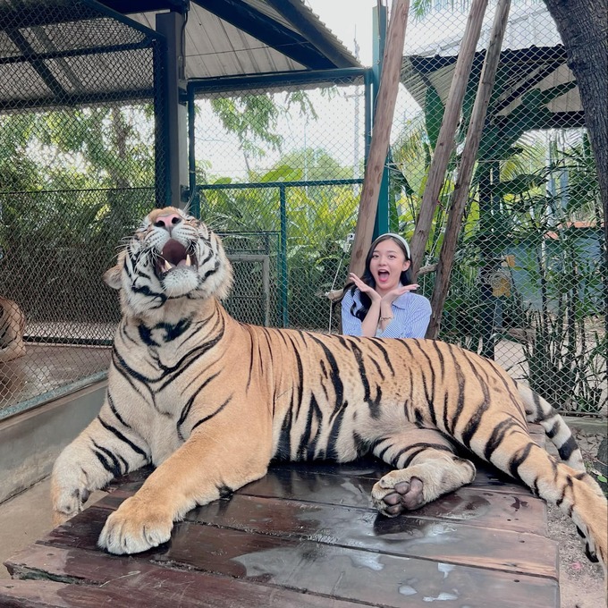 Chồng MC Phương Thảo “bóc phốt” bà xã: Dăm ba con hổ không có tuổi 4