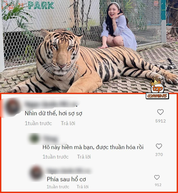 Chồng MC Phương Thảo “bóc phốt” bà xã: Dăm ba con hổ không có tuổi 7