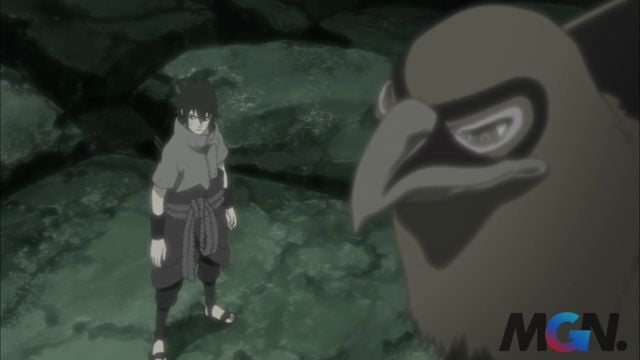 Nhẫn thuật triệu hồi diều hâu của Sasuke hoàn toàn không phụ giúp gì anh trong các trận chiến ở Naruto