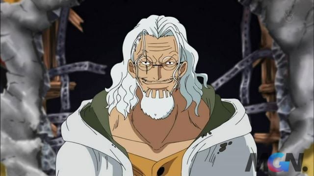 Rayleigh tuy nhỏ bé và cao tuổi, nhưng ông lại là người có hiểu biết cũng như sức mạnh khá cao trong anime One Piece