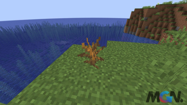 Bụi cây khô trong Minecraft