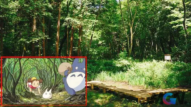 Đồi Sayama (Anime: My Neighbor Totoro)