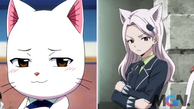 Anime: Top 5 'cô gái mèo' cuốn hút nhất thế giới anime
