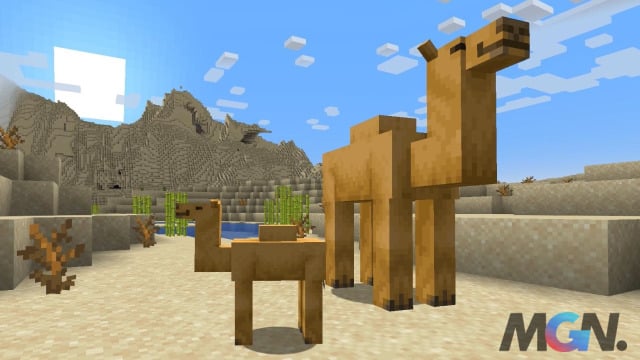 Lạc đà trong Minecraft