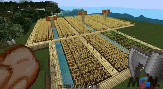 Trang trại lúa mì trong Minecraft