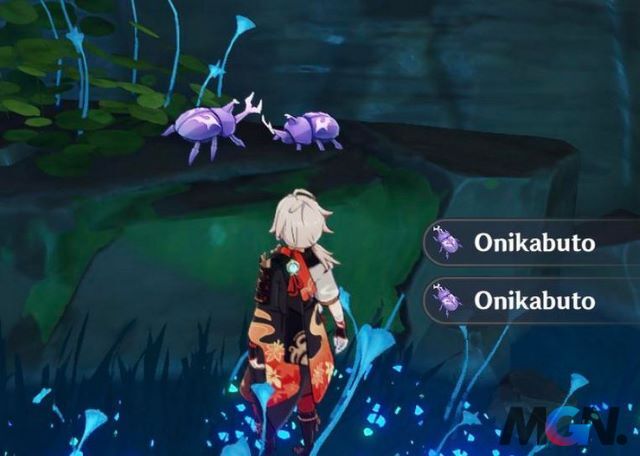 Bọ Onikabuto xuất hiện rải rác trên Inazuma