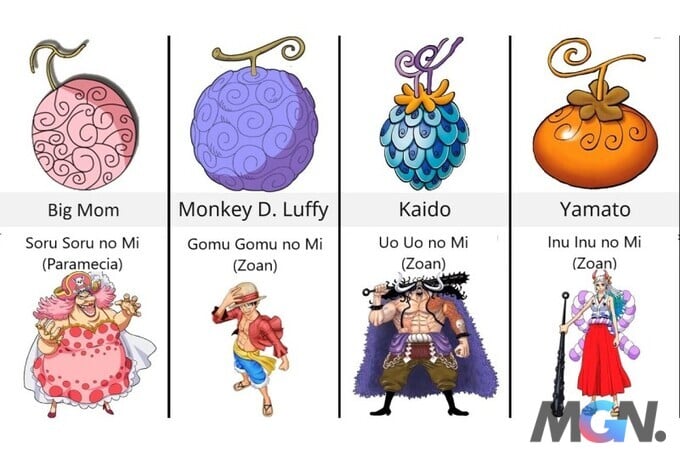 Giới thiệu trái ác quỷ One Piece: \