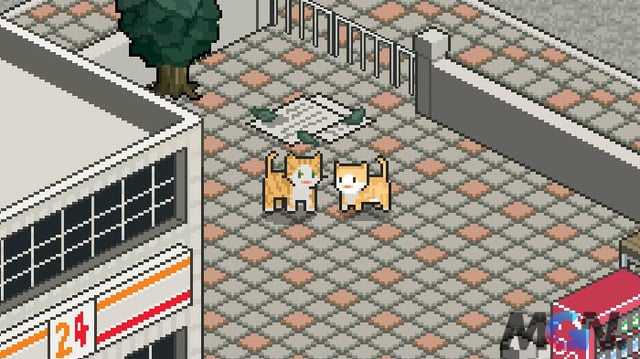 rsz_a-street-cats-tale-switch-1