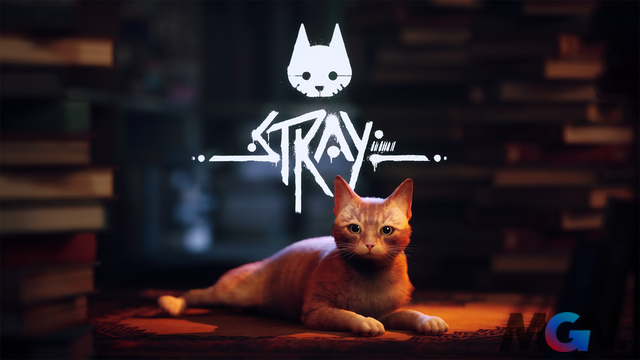 rsz_stray-avatar