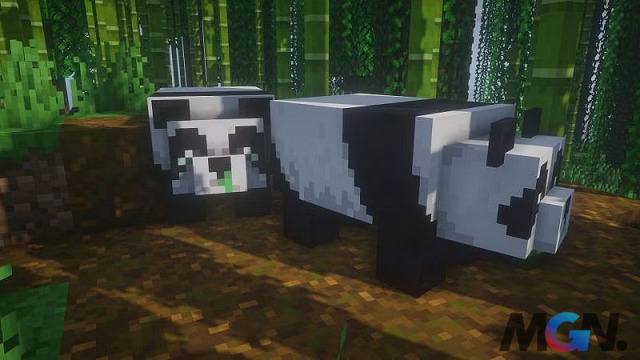 Là một trong những mob 'cute' của Minecraft nhưng Panda cũng không được chú ý cho lắm