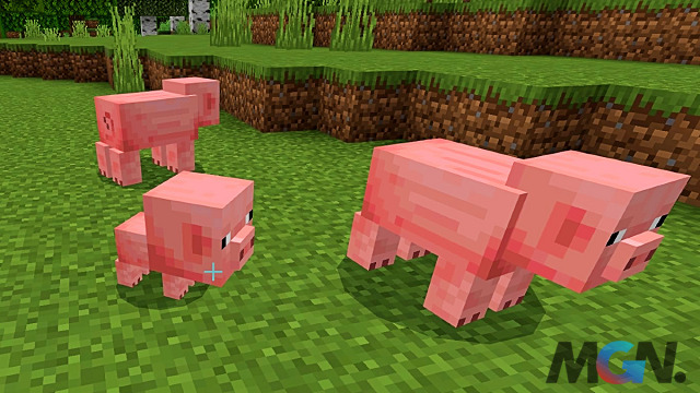 Lợn Minecraft
