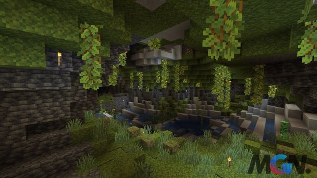 Biomes in the cave