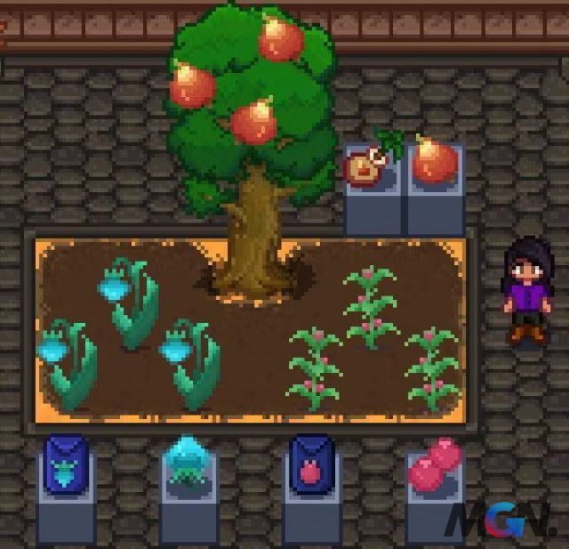 Bản mod Stardew Valley trồng cây trong Genshin Impact